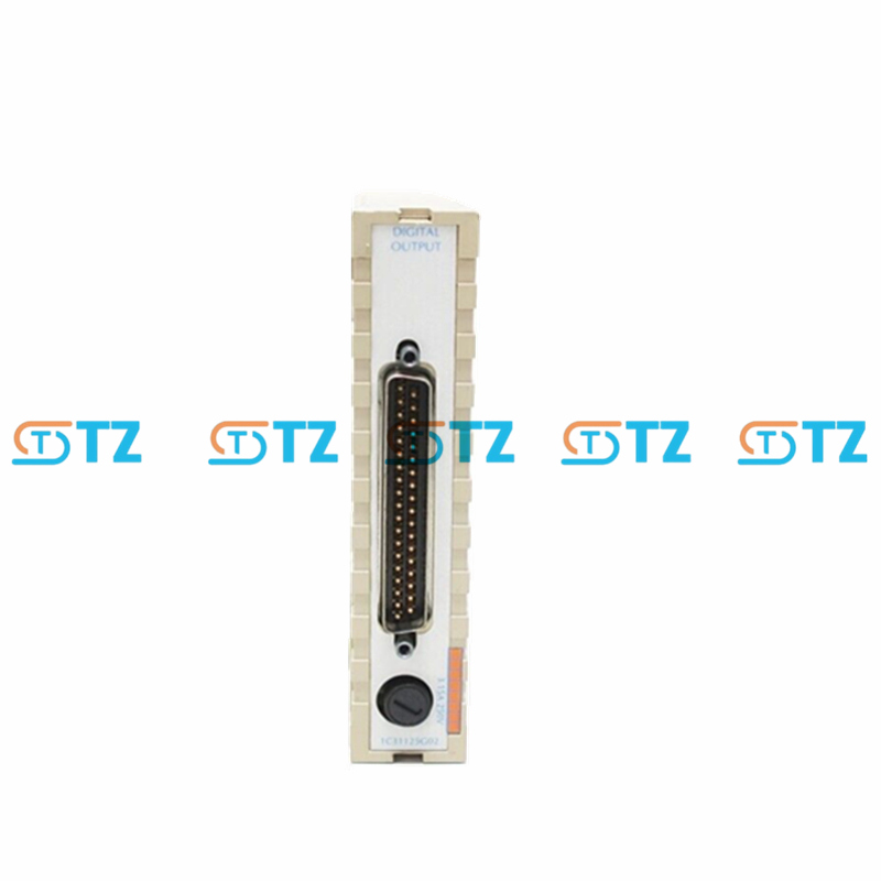 1C31125G02 PLC